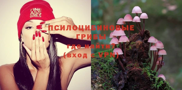 прущие крисы Алексеевка