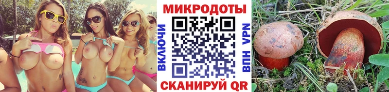 Галлюциногенные грибы Cubensis  Юхнов 